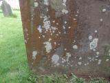 image of grave number 788767
